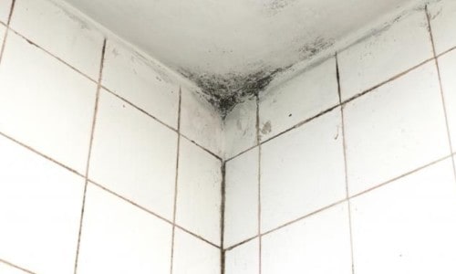 hoe zwarte schimmel in de badkamer verwijderen