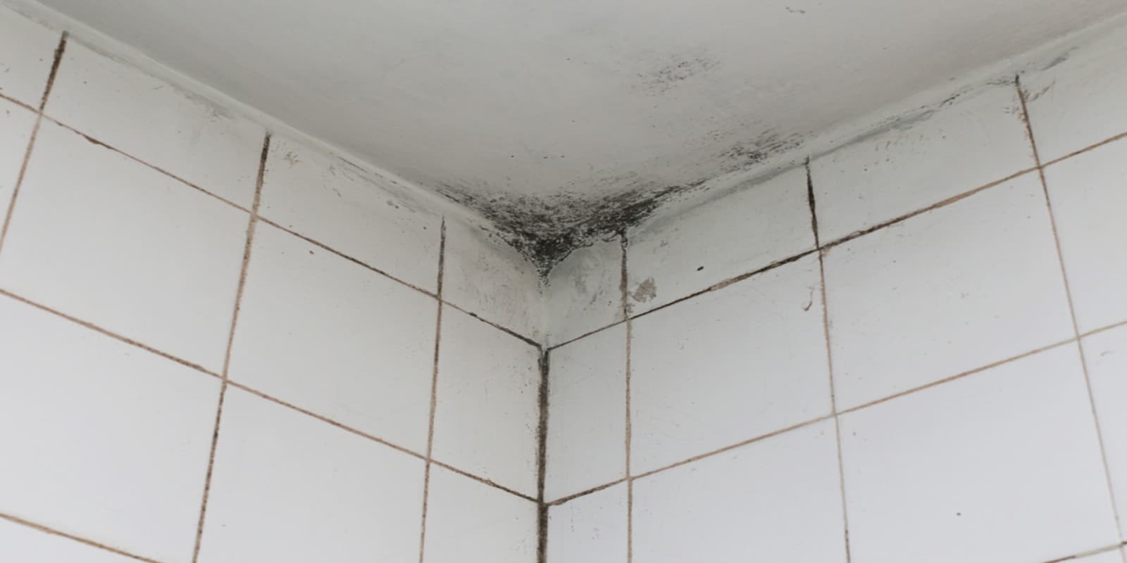 hoe zwarte schimmel badkamer verwijderen