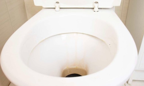 urinesteen verwijderen wc